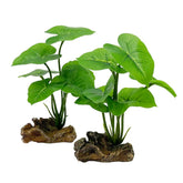 Smoothedo-Pets betta leaf hammock green 6inch offers a resting hide for fish.