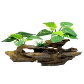 Smoothedo-Pets Betta silk leaf hammock provides a comfy resting spot and natural decor.