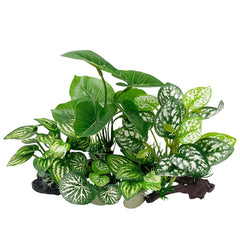 Smoothedo-Pets mix-leaf set shows soft-leaf hides for betta fish