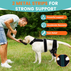 Snagle Paw brace showing four metal stabilizers offering steady hind-leg protection.