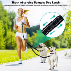 Snagle Paw swivel attachment prevents tangles during two dog walks