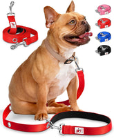 SnapLeash hands-free leash in use for multitasking during walks.