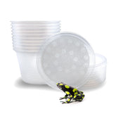 Snout and Shell 16oz deli cup pack10 for starting feeder cultures and reusable use.