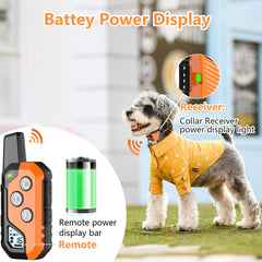 Snsng shock collar remote for two dogs shows dual-dog training capability