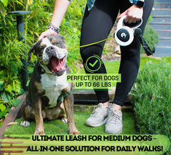 Snuggle Paws reflective tape on leash boosts safety for dusk strolls.