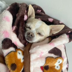 Snuggle Puppy Blanket machine-wash-demo highlights easy care and durability.