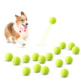 SOCO 16-pack small tennis balls for dog play provide durable, lightweight fetch options for small dogs.