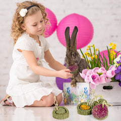 Sofier timothy treats myosotis flavor natural chews supporting tooth wear.