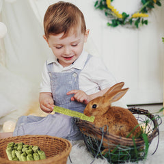 Sofier Timothy Hay Sticks texture close-up shows fibrous structure and vitamins.