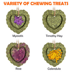 Sofier timothy treats rose cakes hung by rope for gentle nibble sessions.