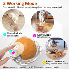 Sofolor interactive cat toy ball in standby mode