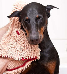 Soggy Doggy towel with built-in hand pockets securing grip during drying.