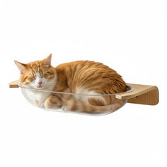 SOJILET cat wall shelves climbing wall system supports exploration and exercise.