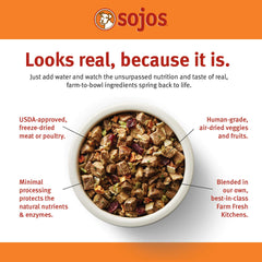 Sojos Turkey Recipe Dehydrated Dog Food pour close-up highlights quick rehydration and aroma.