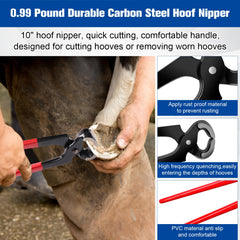 Solaradgy rasp file side view reveals clear patterns for smoothing hooves.