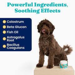 Solid Gold Alaska Salmon Oil label - coats and immune support for dogs.