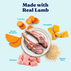 Solid Gold probiotics bottle promotes gut-friendly nutrition for dogs