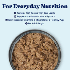 Solid Gold canned dog food whole grains superfoods for gut-friendly nutrition