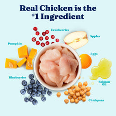 Solid Gold chicken kibble close-up emphasizes real poultry as a primary protein source.