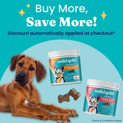 Solid Gold Dog Allergy Relief Chews bottle demonstrates convenient daily supplementation.