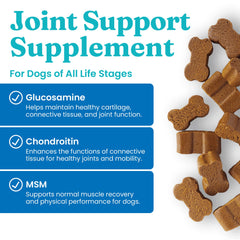 Solid Gold dog hip joint supplement dining scene suggests easy dosing.