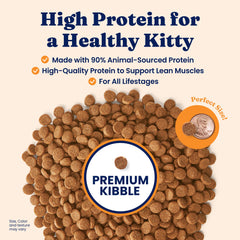 Solid Gold dry cat food kibble closeup highlighting texture for palatable meals