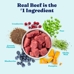 Solid Gold grain-free can design featuring real beef and wholesome ingredients.