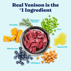 Solid Gold grain-free dog food pour shot emphasizing easy digestion.