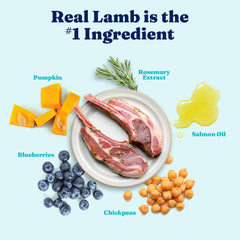 Solid Gold grain-free kibble close-up, ideal for dogs with sensitive stomachs.