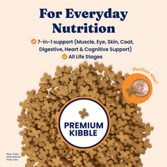 Solid Gold Katz-N-Flocken kibble in bowl highlighting easy-to-digest dry cat food.