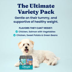 Solid Gold Leaping Waters chicken-salmon grain-free can graphic highlights grain-free nutrition for sensitive stomachs.