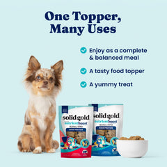Solid Gold Meatball Topper serving on plate suggests gut-friendly nutrition.