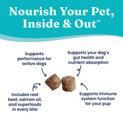 Solid Gold Performance Functional Treats training rewards for active dogs delivering energy and immune support.