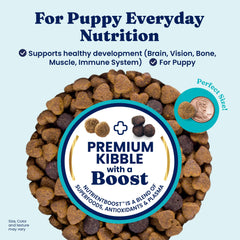 Solid Gold puppy kibble closeup highlights crunchy texture ideal for easy chewing.