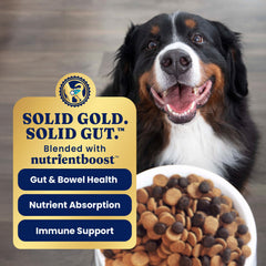 Solid Gold probiotics-prebiotics emphasize gut health and digestion support for puppies