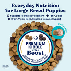 Solid Gold puppy with whole-grains-digestion supports steady gut health