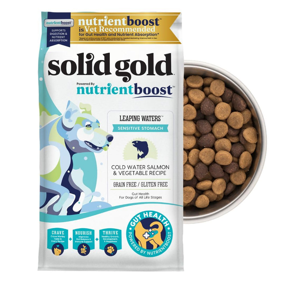 Solid Gold salmon dog food bag, grain-free formula designed to support digestion.