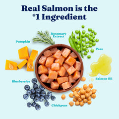 Solid Gold dog food bowl served image, great for mealtime comfort and digestion.