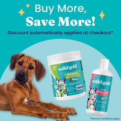 Solid Gold SeaMeal powder dispensing shows easy daily use.