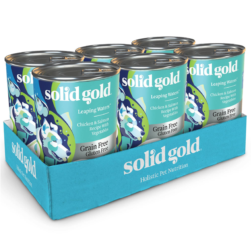 Solid Gold sensitive-stomach-wet-dog-food-bowl closeup for digestive-friendly meals.