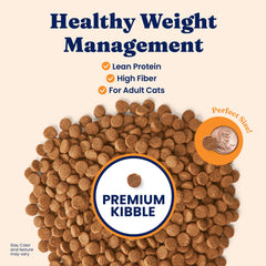 Solid Gold weight management kibble closeup highlights grain-free, protein-forward nutrition.