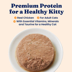 Solid Gold wet cat food pate close-up shows smooth texture ideal for picky eaters.