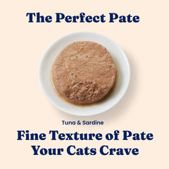 Solid Gold wet cat food pate texture detail reveals smooth pate ideal for sensitive stomachs and meals