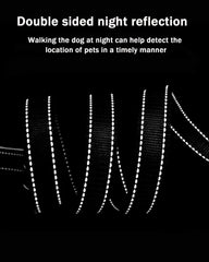 SOLMOONY double-sided reflective leash improves night visibility during evening strolls.