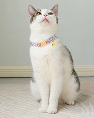 SOLMOONY safety breakaway buckle ensures quick release during adventures