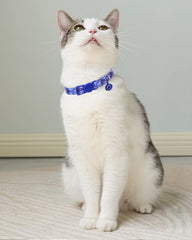 SOLMOONY two-pack design image showcasing interchangeable styles for mixed looks