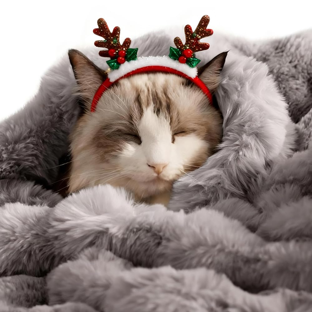 Somahe pet blanket ultra-soft grey on sofa delivers cozy warmth for indoor pets.