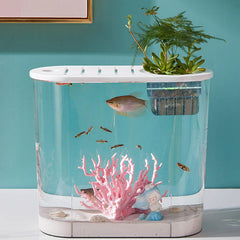 SONGFANGXI bottom-hole design plant holder promotes root growth and better water circulation.