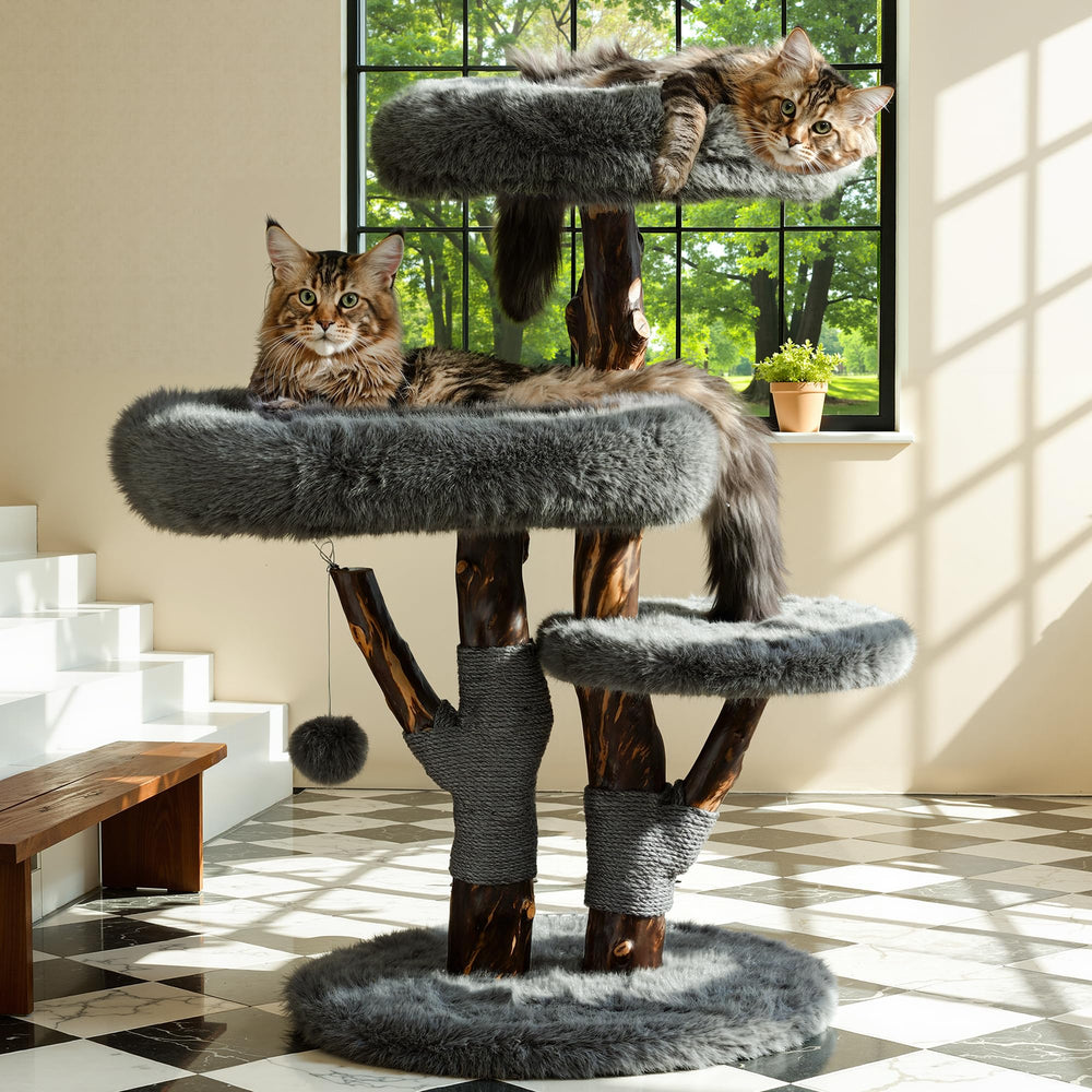 Sopapets aesthetic cat tree top bed provides a spacious elevated retreat for large cats