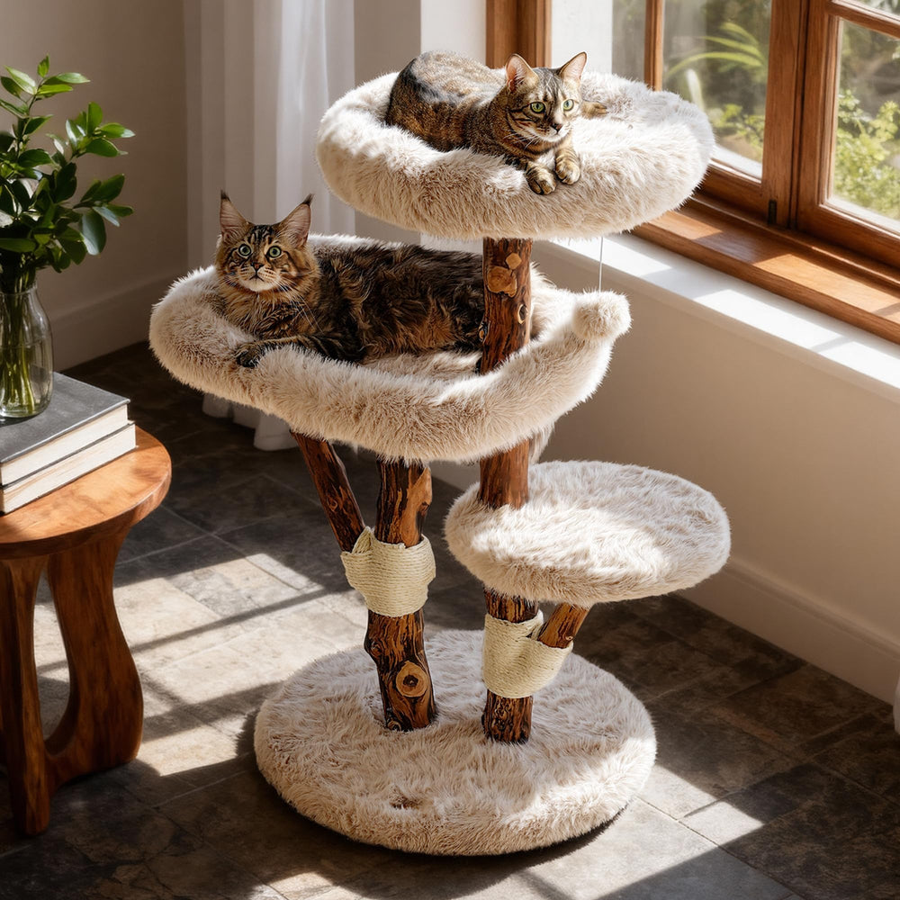 Sopapets Aesthetic Cat Tree top bed, a spacious nap spot for large cats.